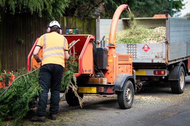 Lawn Drainage Solutions in Port Reading, NJ